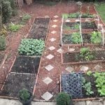 How To Grow Vegetables in The Cold Season?