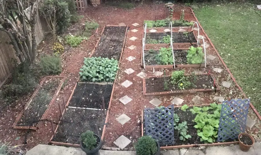 how to grow vegetables in the cold season