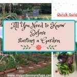 Everything to Know Before  Starting A Garden