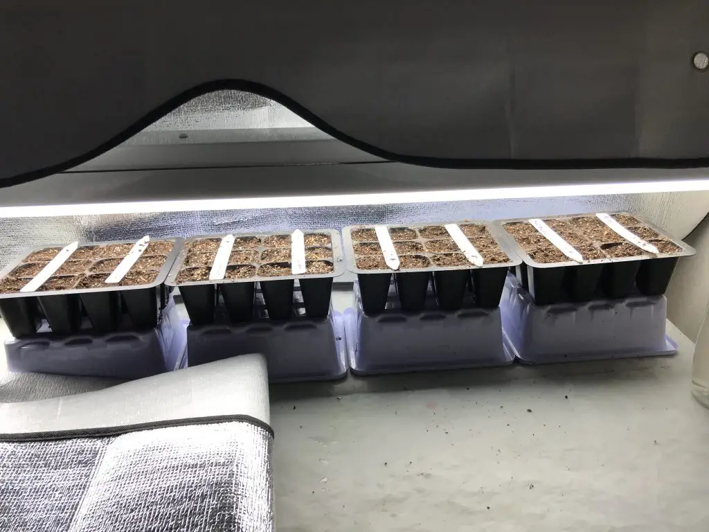 Diy seed starting Grow light station