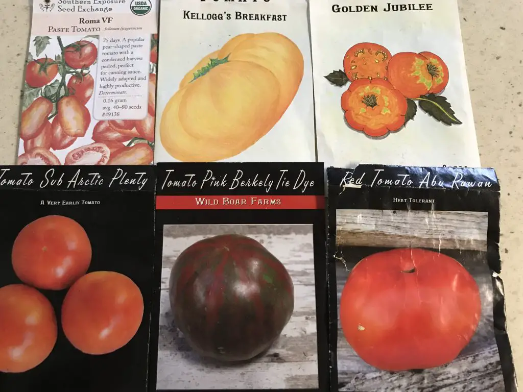 tomato seed packets