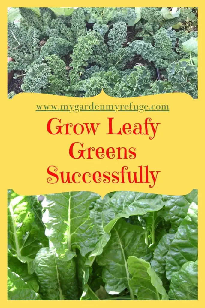 how to grow leafy greens in central Texas?
