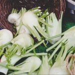 How to Grow Fennel in Central Texas