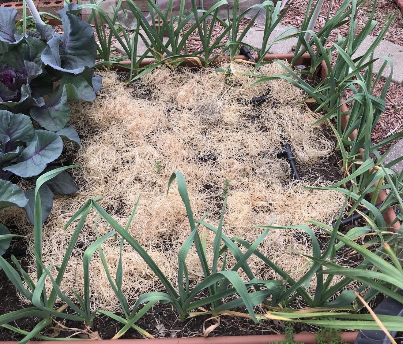 7 Ways to Protect Your Winter Garden - My Garden My Refuge