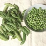 Useful Tips For Growing Peas In Central Texas