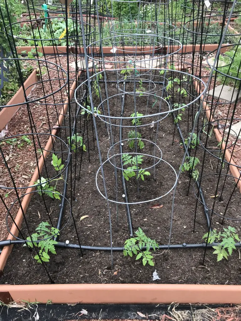 The Best Diy Trellises For Your Garden My Garden My Refuge