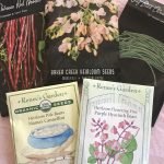 How to Organize Seed Packets