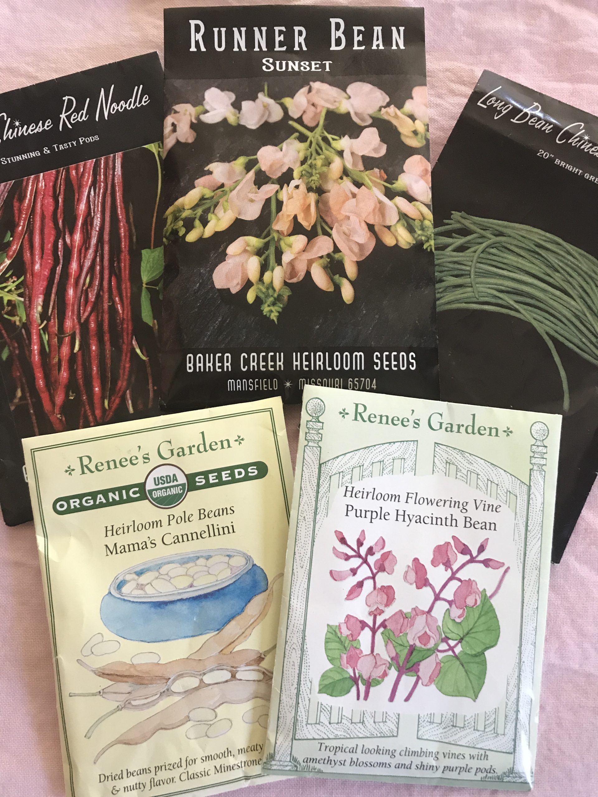 How to organize seed packets