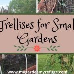 The Best Trellising Ideas For A Small Garden
