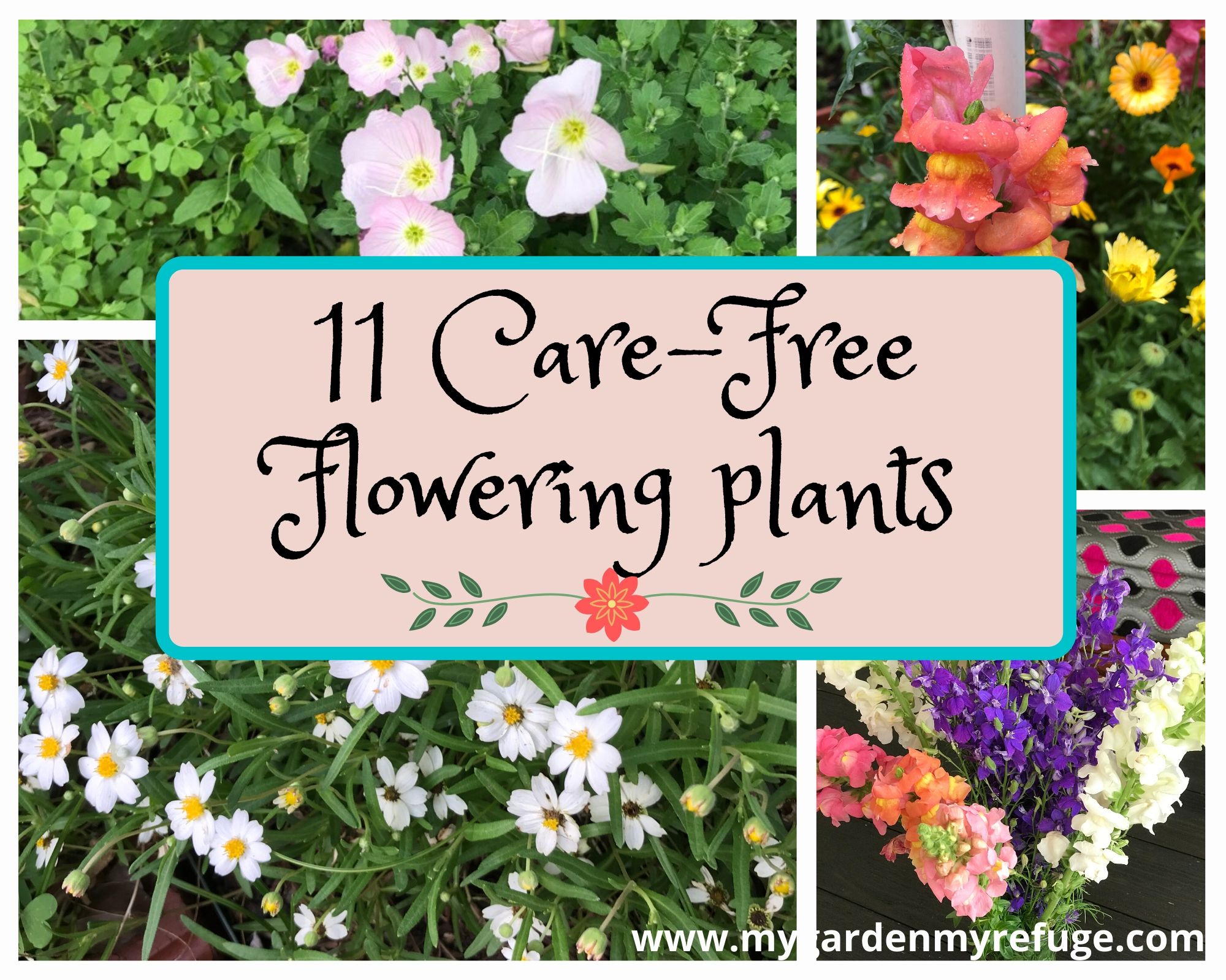 care-free flowering plants