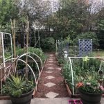 How to Garden Organically for Beginners?