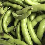 How to Grow Broad Beans in Central Texas?