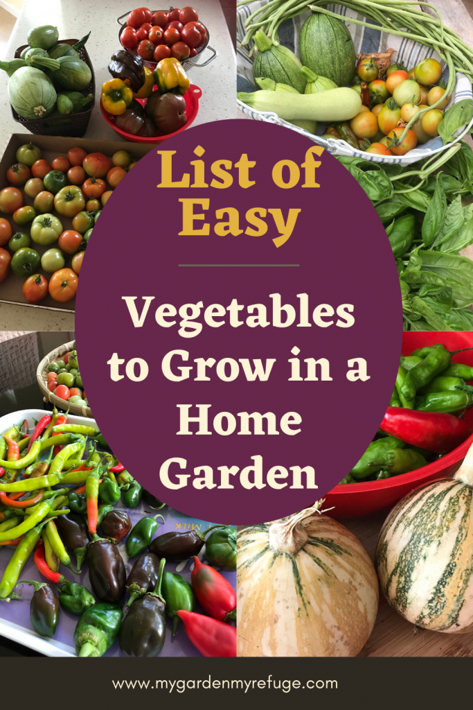 top vegetables to grow in a home garden