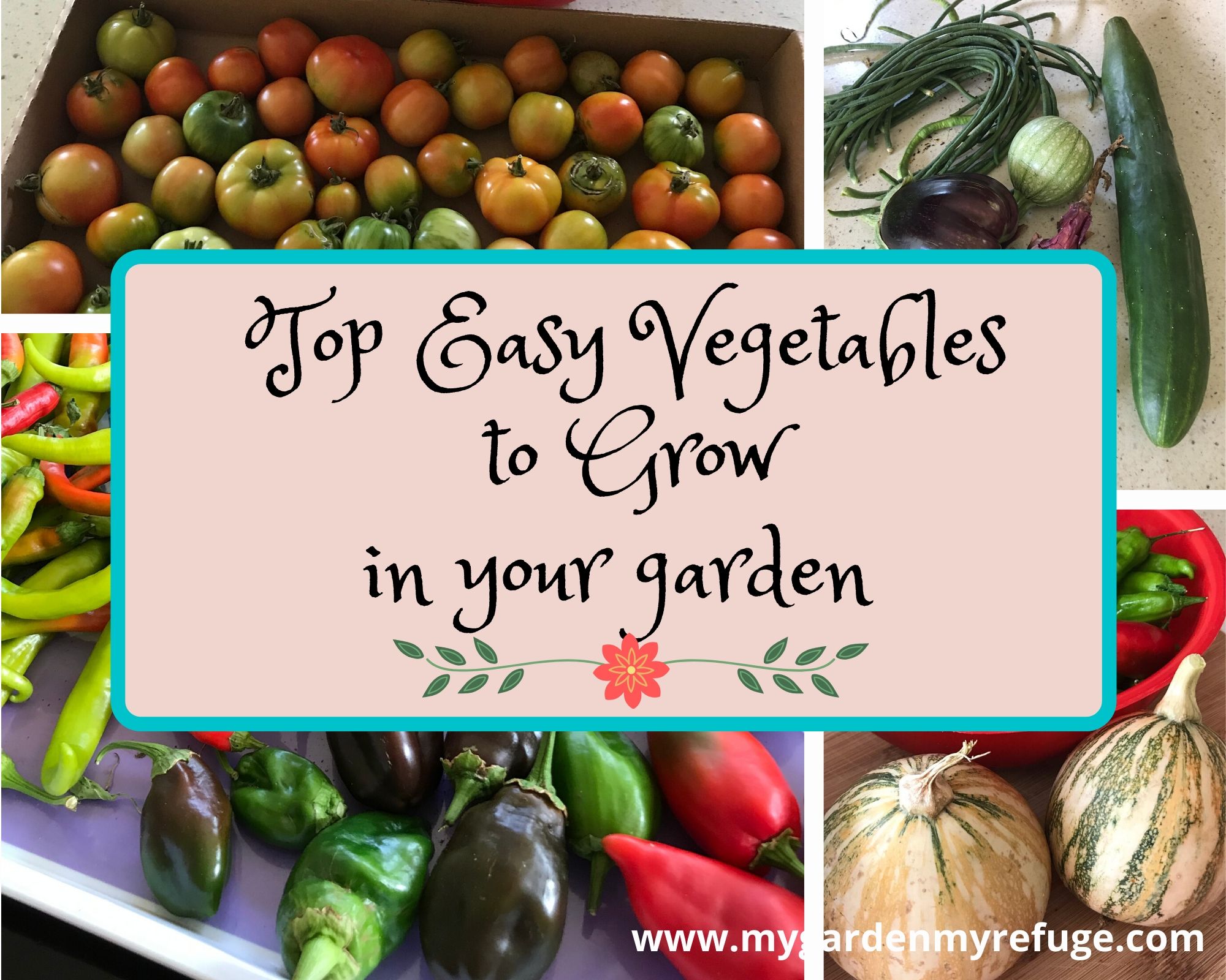 Top vegetables to grow in your garden
