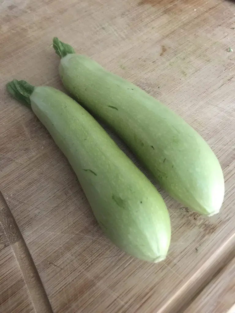 zuccini