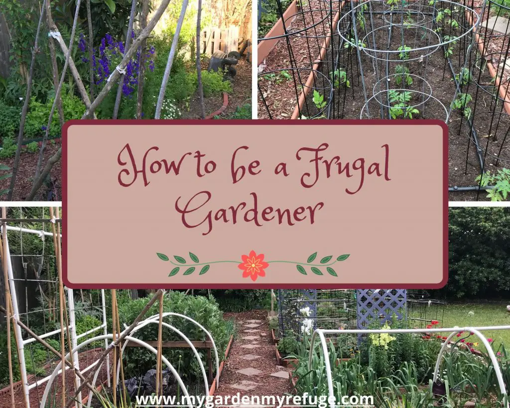 how to be a frugal gardener