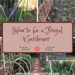 How to Be a Frugal Gardener?