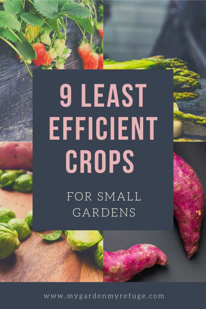 9 crops not worth growing in a small garden