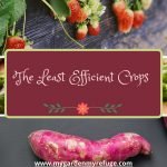 9 Crops Not Worth Growing in a Small Garden