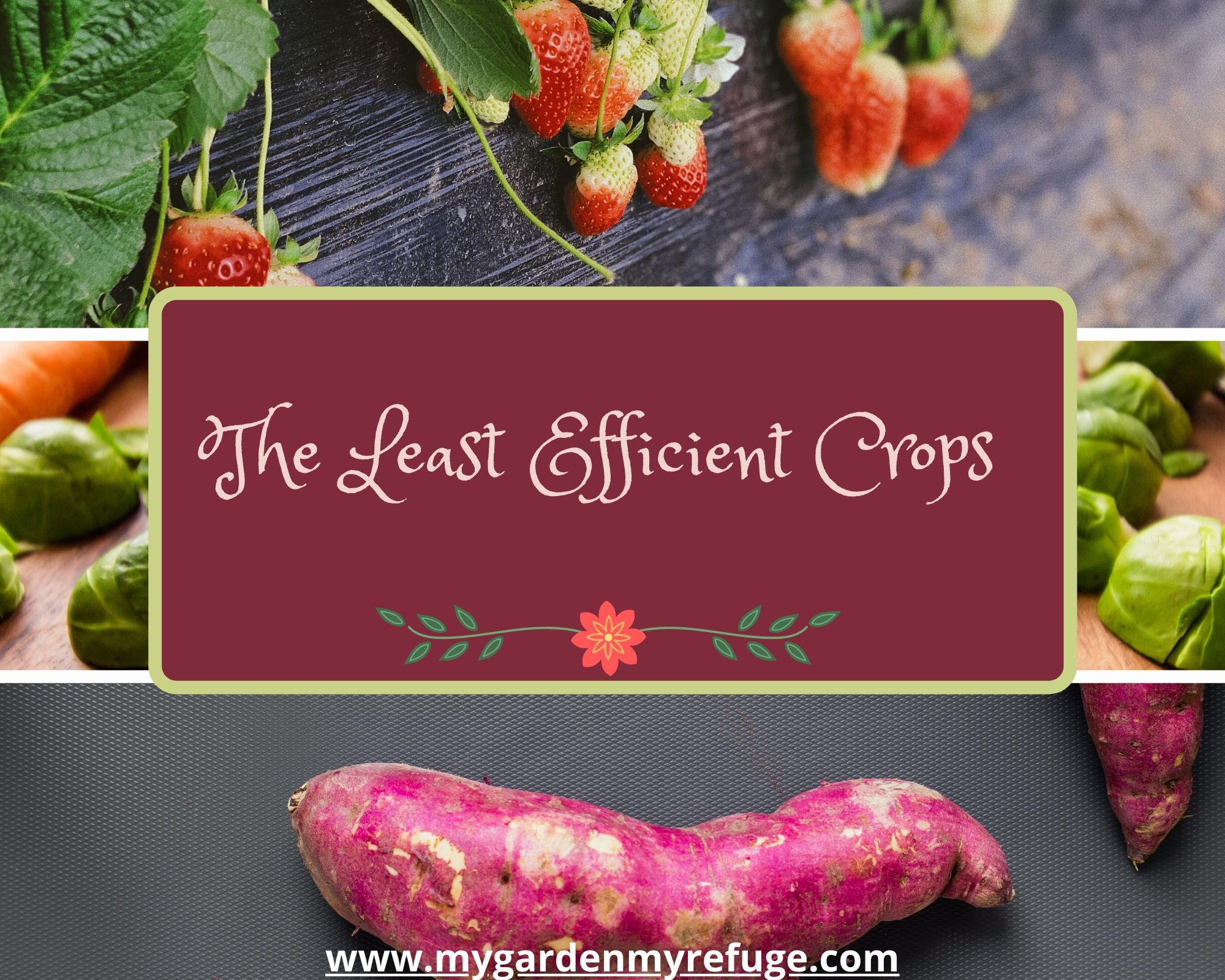 Least efficient crops