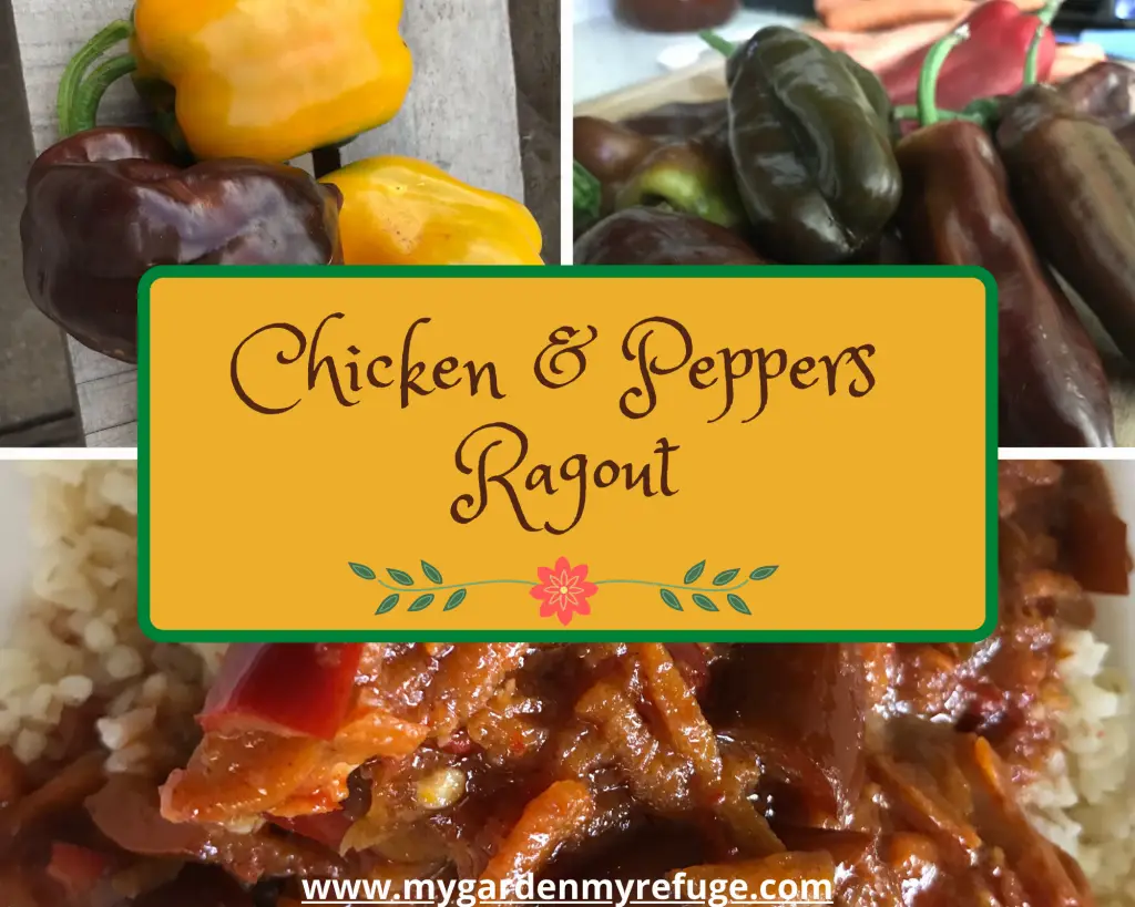 chicken and pepper ragout