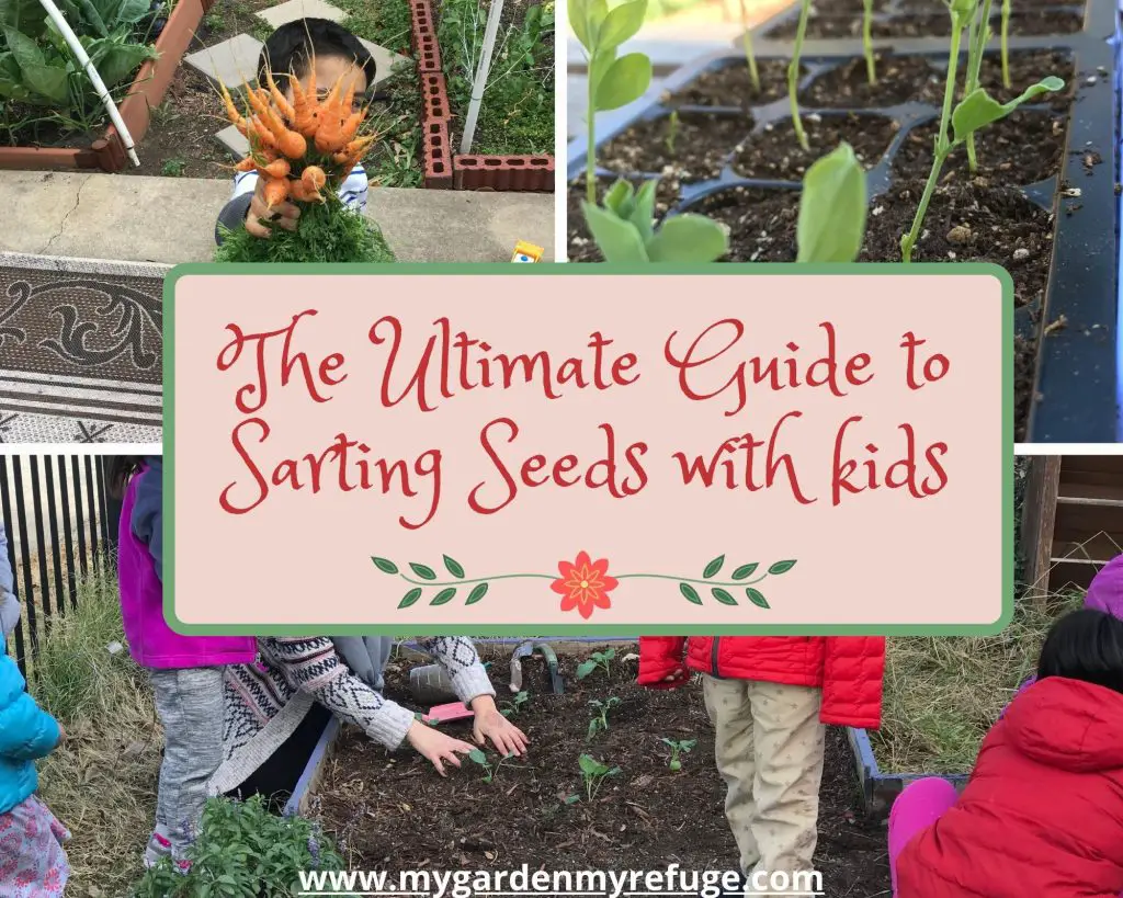 The guide to seed starting with kids