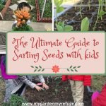 The Ultimate Seed Starting Guide For Teachers