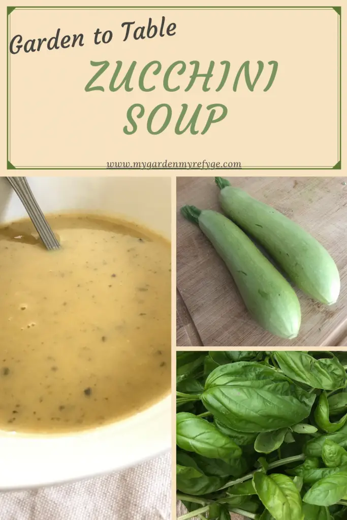 zucchini soup