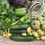 The Best Crops to Grow For Self-Sufficiency