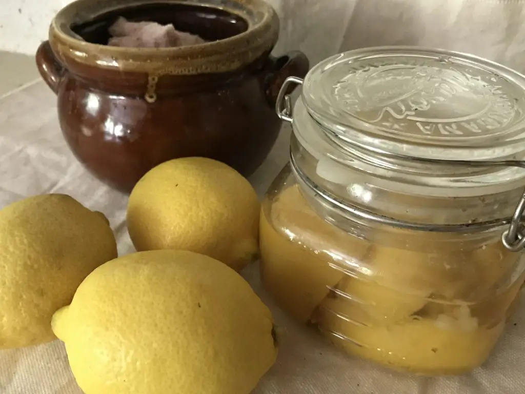 3 ways to preserve lemons for future use.