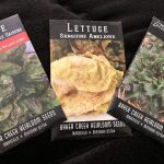 Helpful Tips To Grow Lettuce Successfully