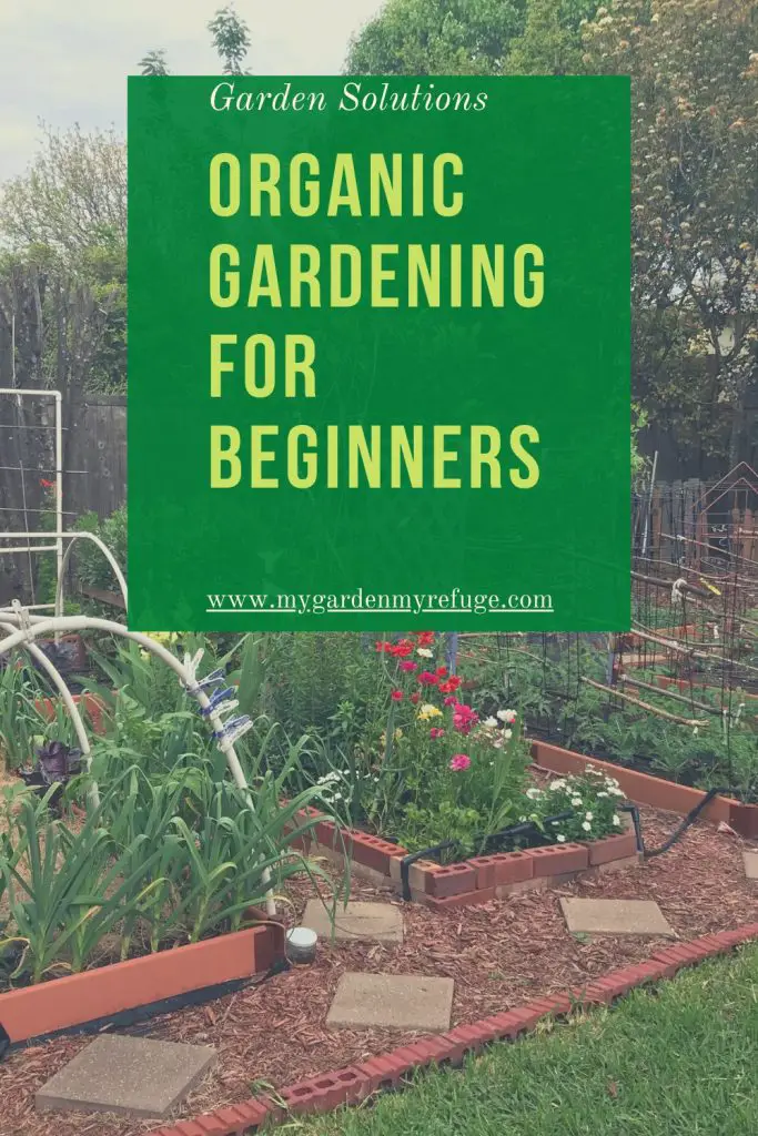 How to garden organically for beginners