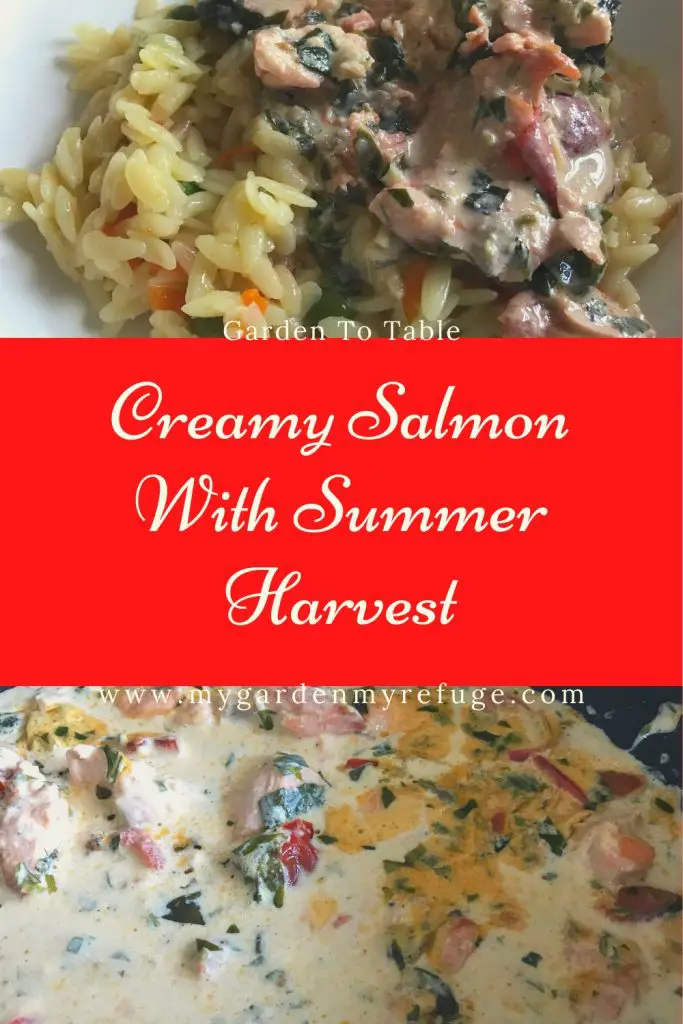 Creamy salmon with tomatoes and basil