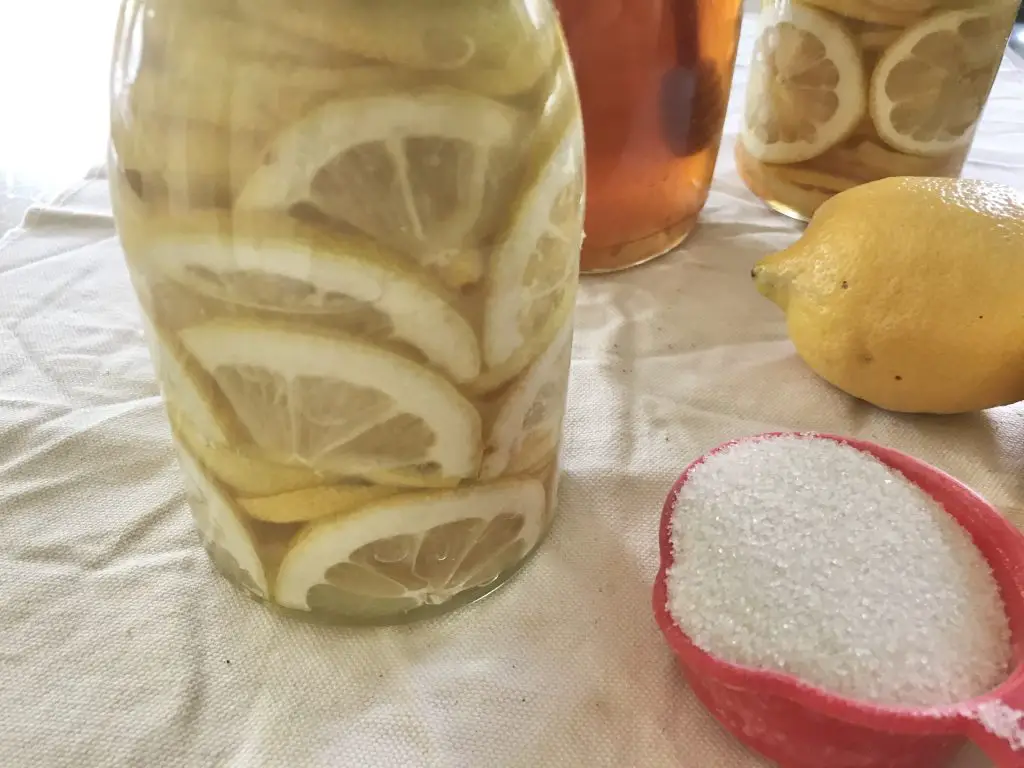 3 ways to preserve lemons for future use
