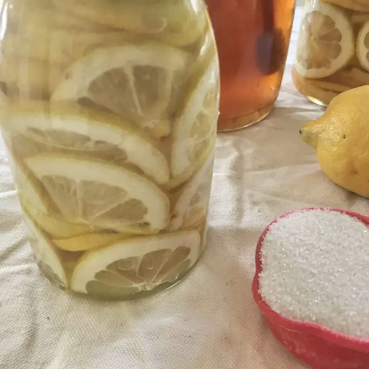 3 ways to preserve lemons for future use