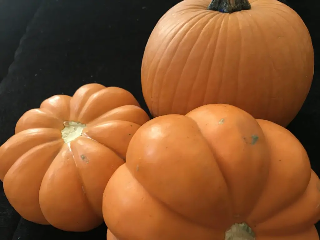 How to make a creamy pumpkin spice soup