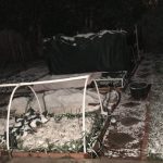 7 Ways to Protect Your Winter Garden