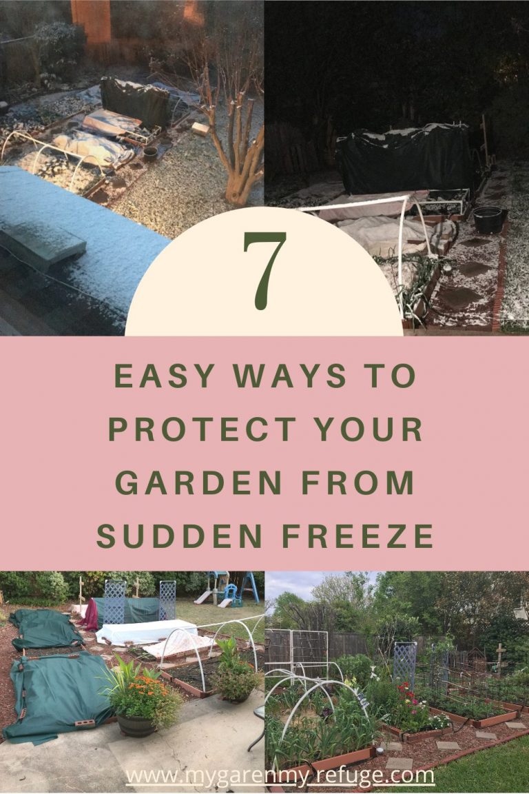 7 Ways to Protect Your Winter Garden - My Garden My Refuge