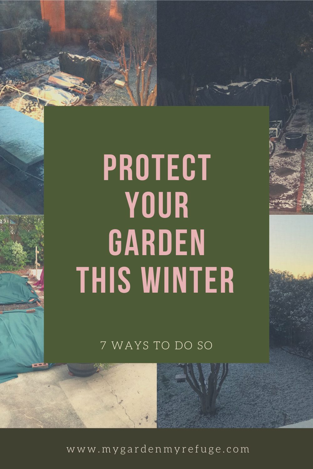 7 Ways to Protect Your Winter Garden - My Garden My Refuge
