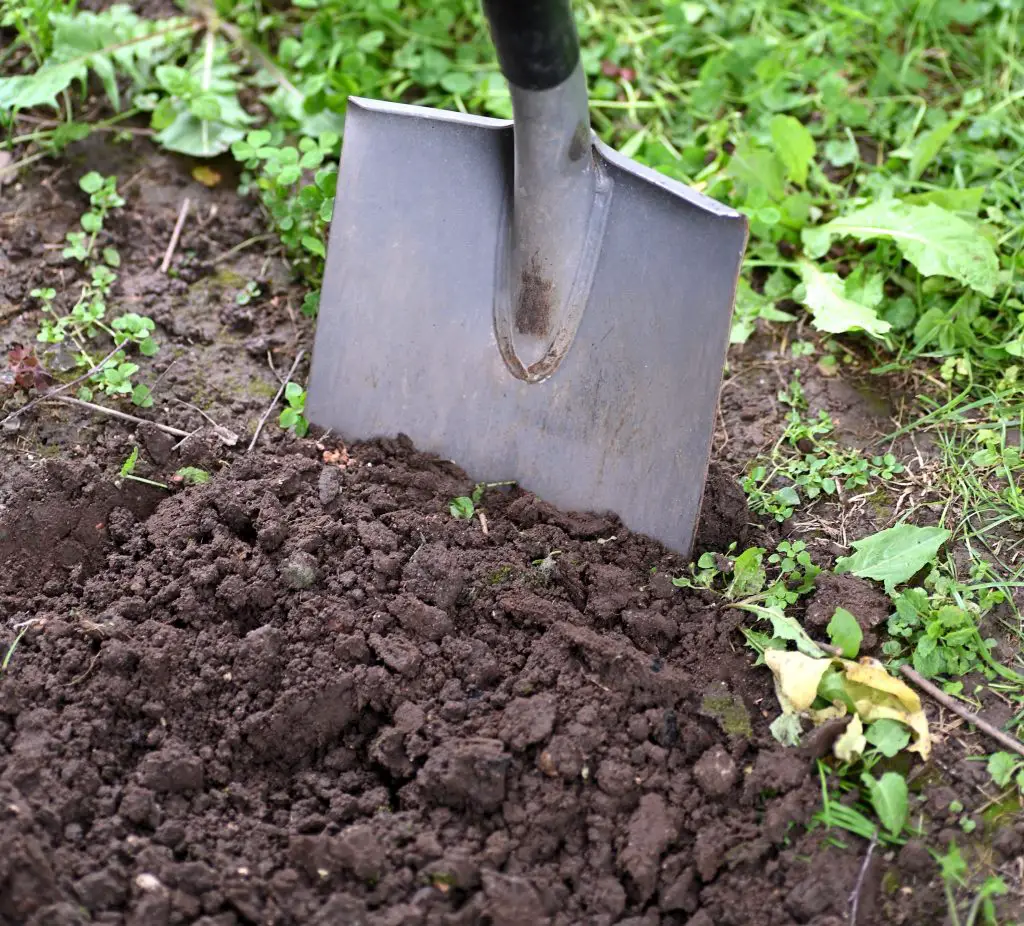 here is how to build good garden soil