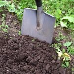 How To Restore Soil life