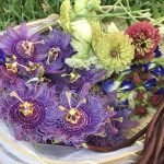 Beautiful Flowers For Your Tea