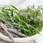 The Best Perennial Herbs For Central Texas
