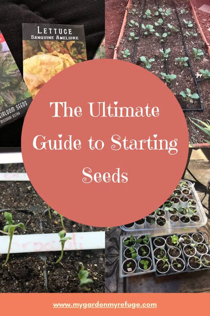 The Ultimate Guide To Starting Seeds Indoors - Wellness Gardens