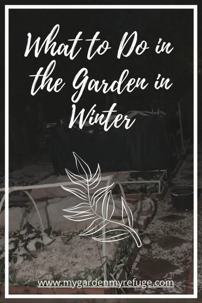 11 simple garden tasks for winter