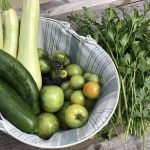 How to Extend Harvest In the Warm Season?