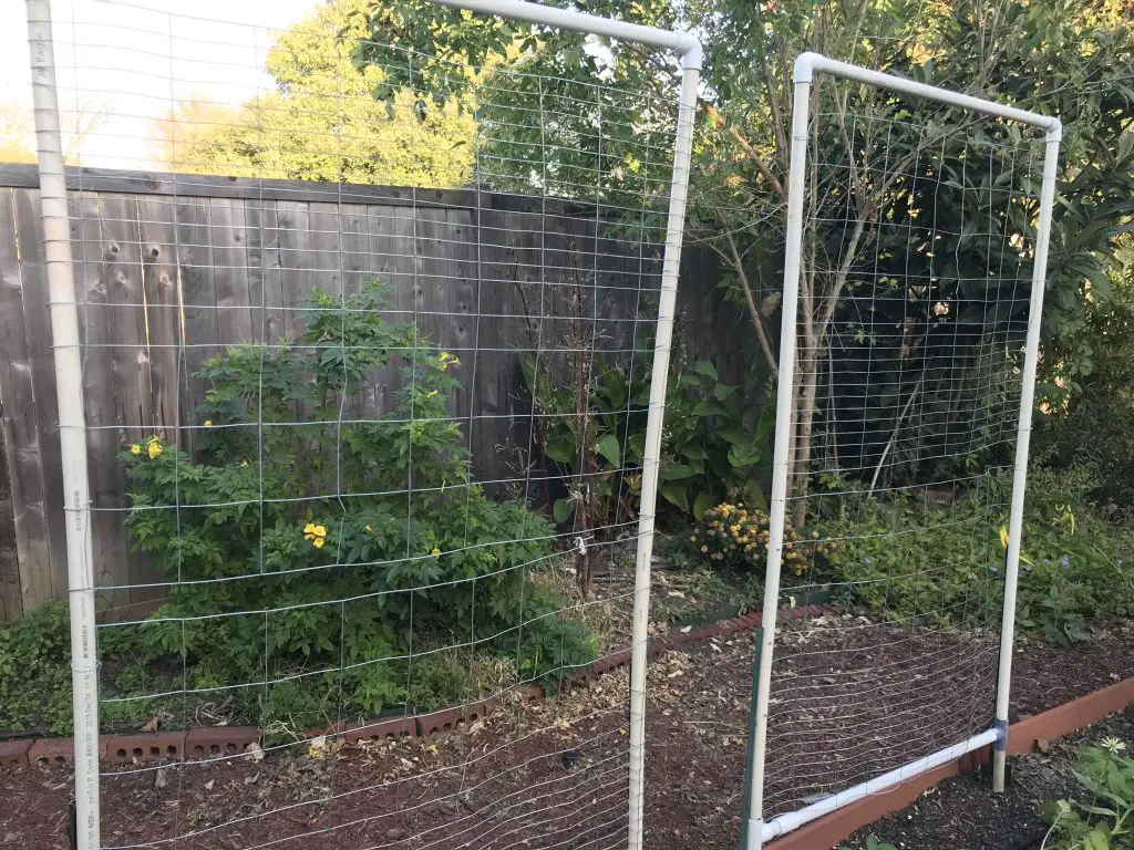 Easy DIY trellis