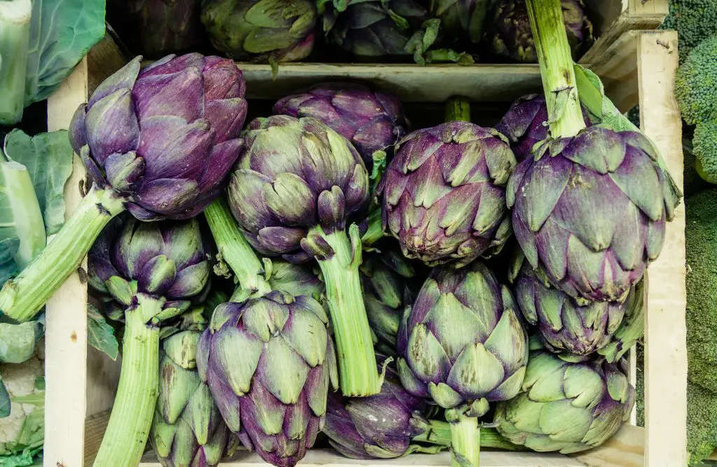 how to grow artichokes