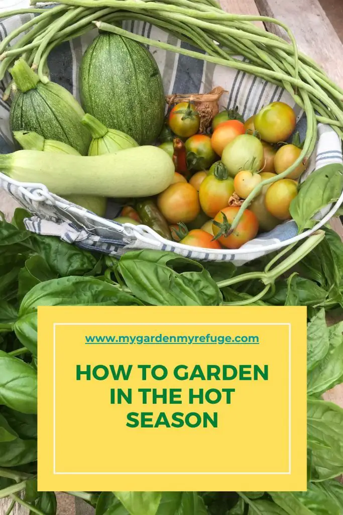 How to garden in the hot season