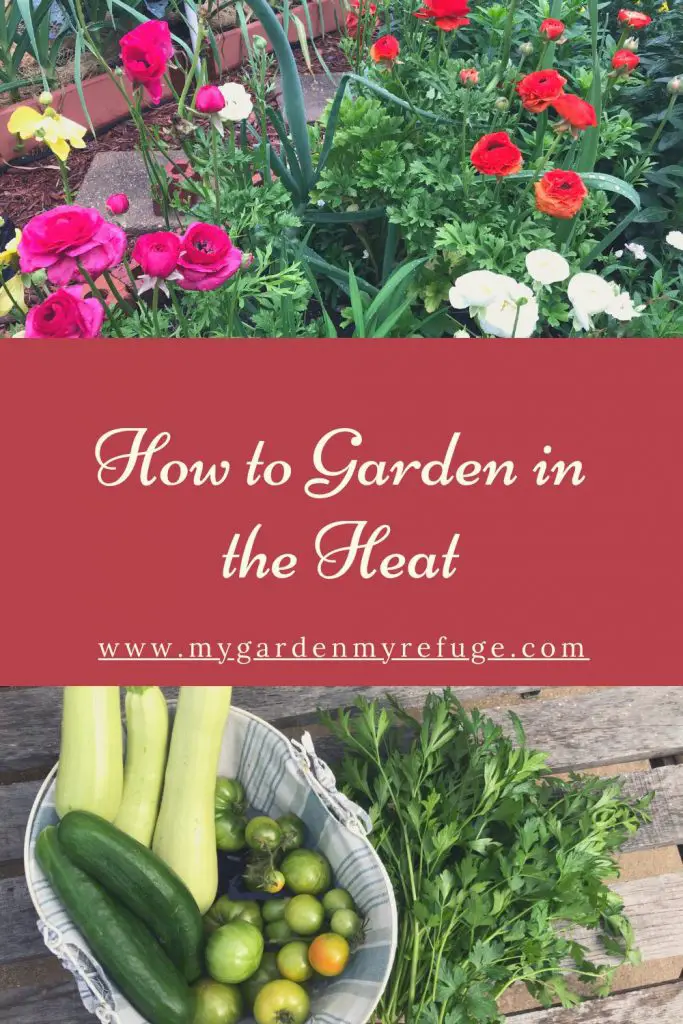 How to garden in the hot season